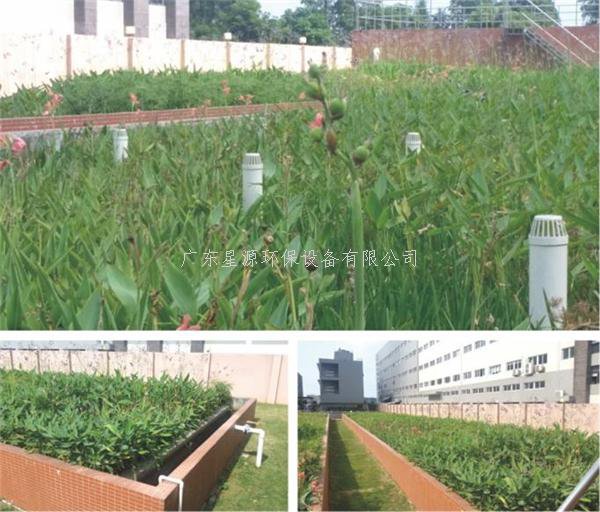 什么是人工濕地處理技術(shù)？人工濕地凈化污水的原理